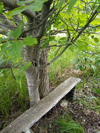 Дача 42 м² на участке 10 сот.