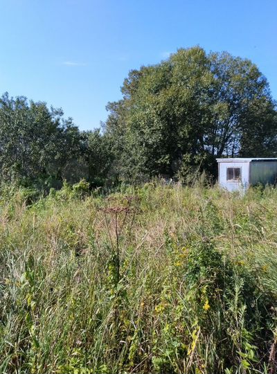 Участок 18 сот. (ИЖС)