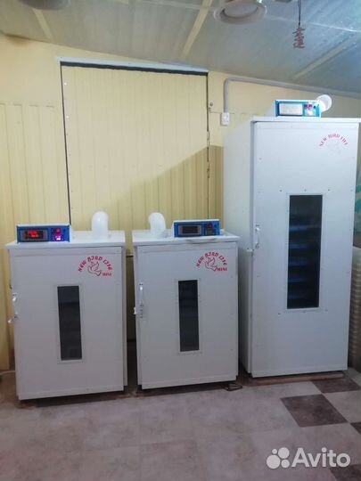 Инкубатор фермерский