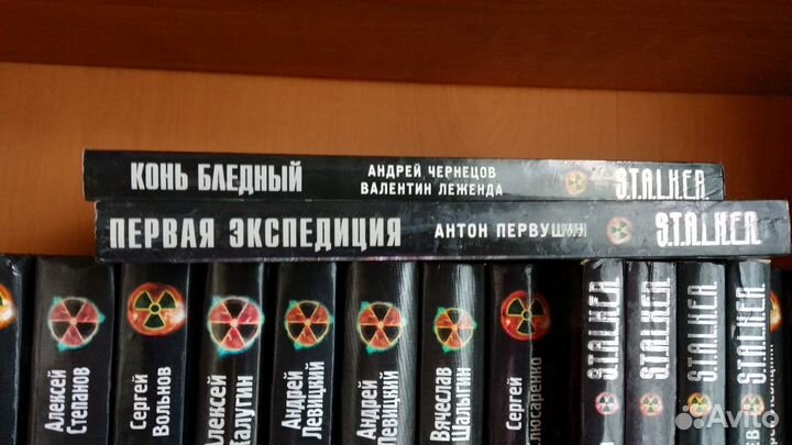 Книги серии S.T.A.L.K.E.R состояние отличное