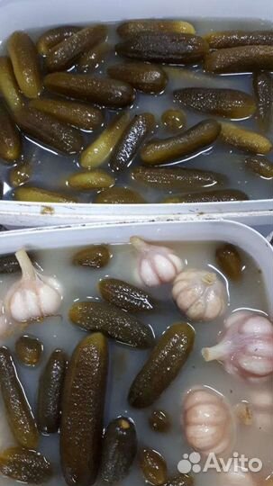 Бочковые огурцы