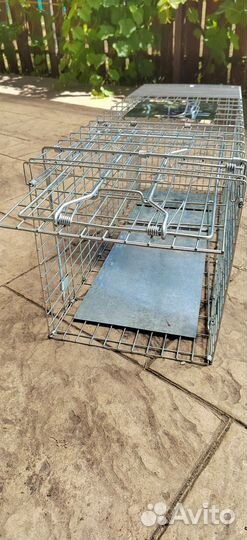 Котоловка в аренду