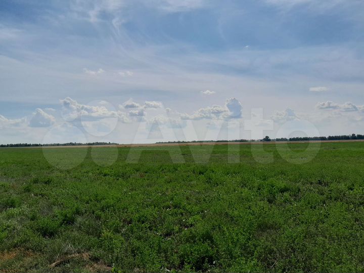 Участок 8 га (СНТ, ДНП)