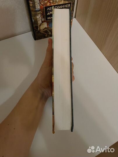 Лев Гумилев.Этногенез.Древняя Русь и Великая Степь