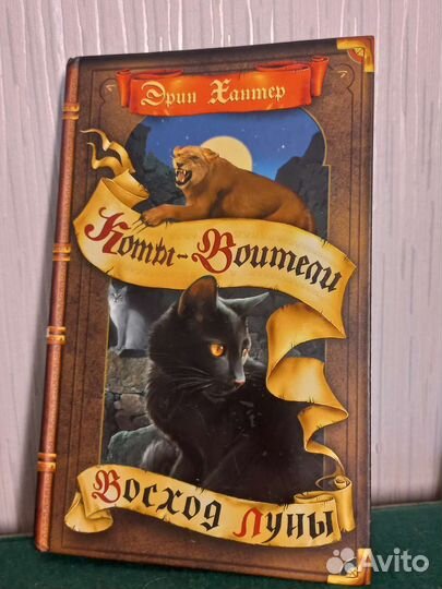 Коты-Воители