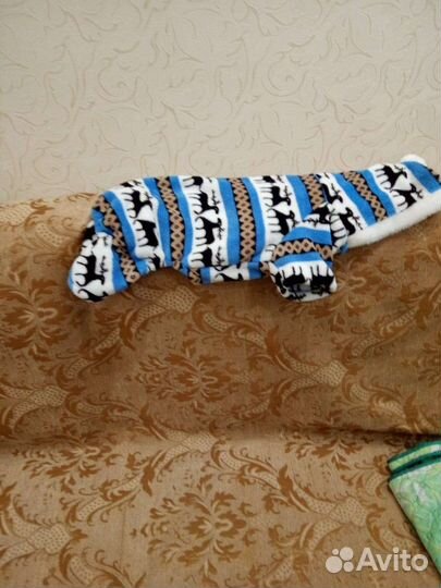 Одежда для маленьких собак