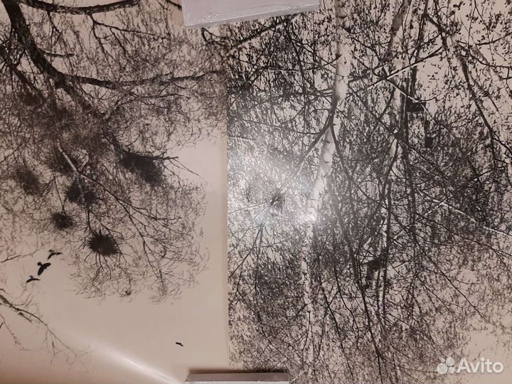 Фотографии СССР