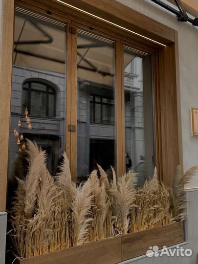 Оформление витрин цветами/ входной группы