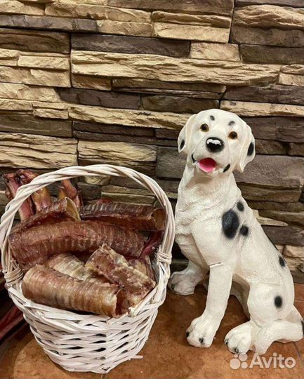 Лакомства для собак