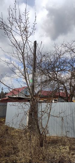 Участок 5 сот. (ИЖС)