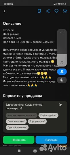 Маленькое рыжее чудо