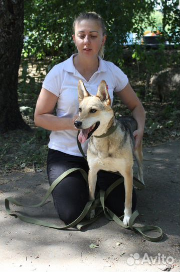 Красивая девочка Кетрин ищет семью