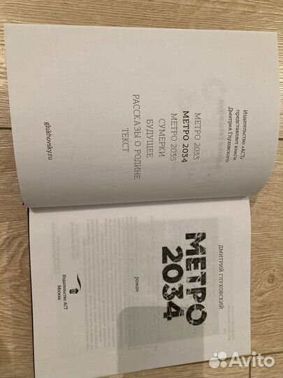 Книга метро 2034
