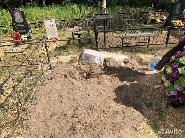 Арборист спил и удаление аварийных деревьев