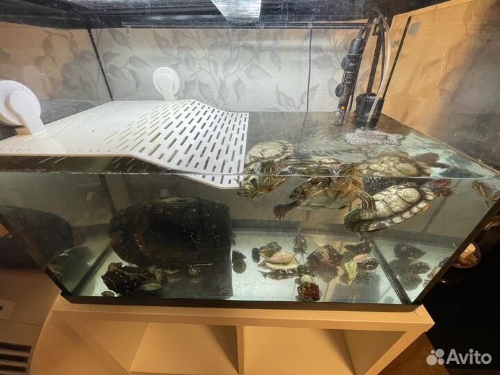Аквариум 122 литра с черепахами