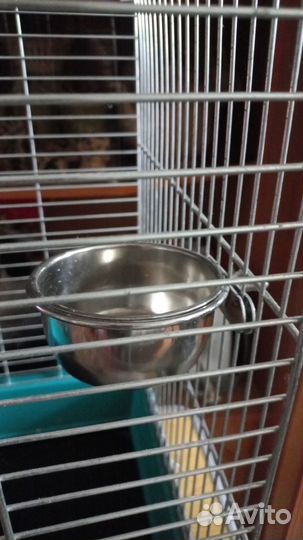 Клетка для большого попугая