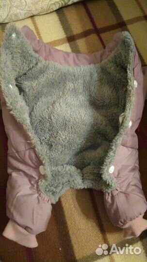 Зимняя куртка для собаки