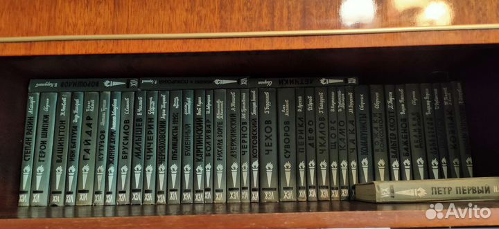 Книги серии жзл