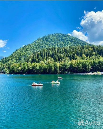 Индивидуальные экскурсии в Абхазию на минивэне