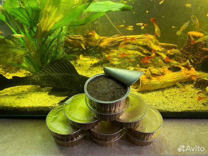 Артемия пастеризованная 100 гр