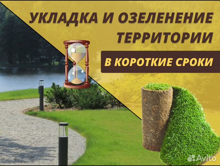 Рулонный газон Спортивный