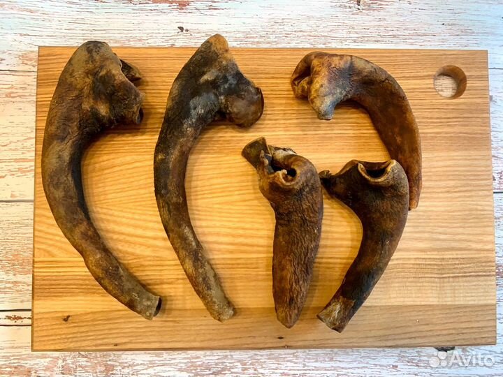 Сушеные лакомства для собак