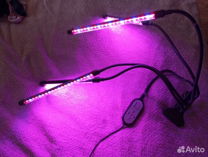 Фитолампы 2 и 4 лампы