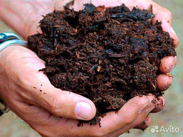 Навоз перегной конский в мешках