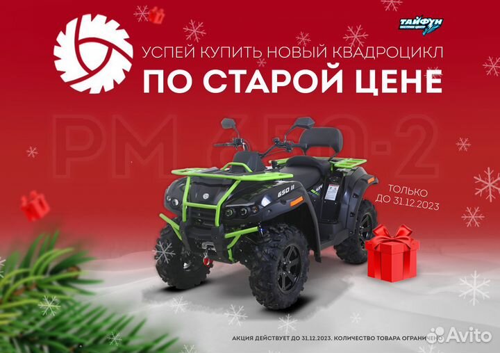 Снегоболотоход рм 650-2