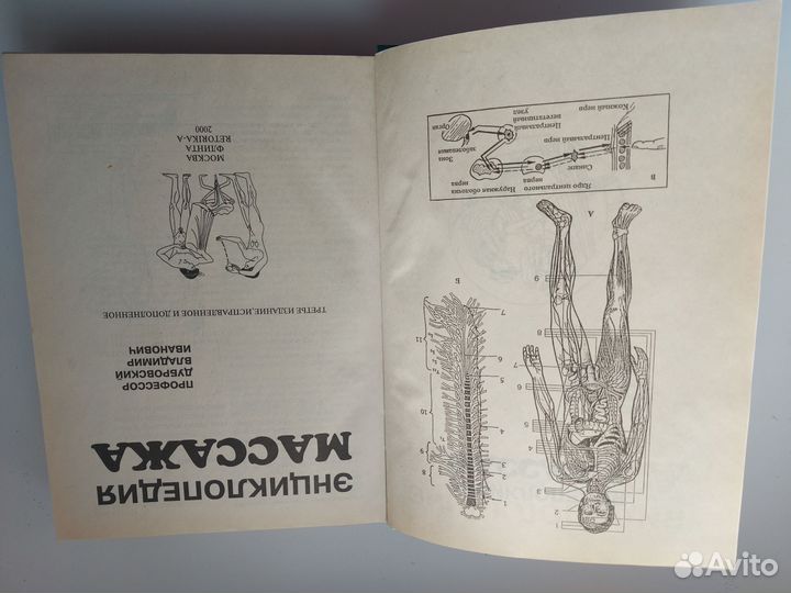 Энциклопедии массажа. В. И. Дубровский