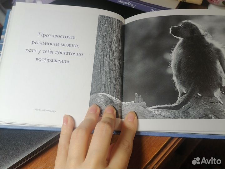 Книга на подарок