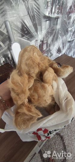 Кошачья шерсть, пух от Мейн-Куна и Сибирского кота