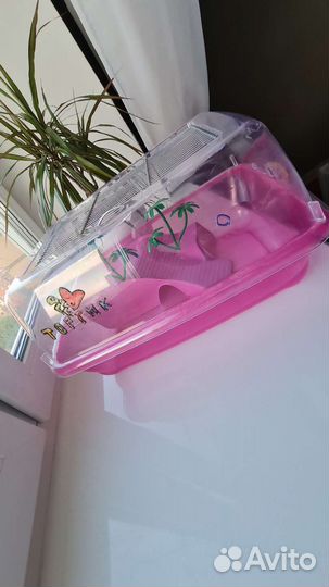 Террариум для сухопутной черепахи