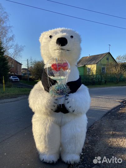 Праздники и мероприятия