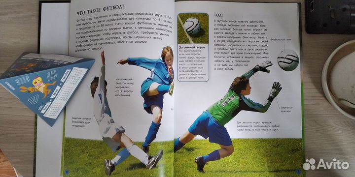 Моя первая книга про футбол