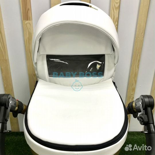 Коляска детская Adamex Chantal Star Eco