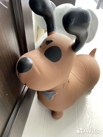 Прыгун собака