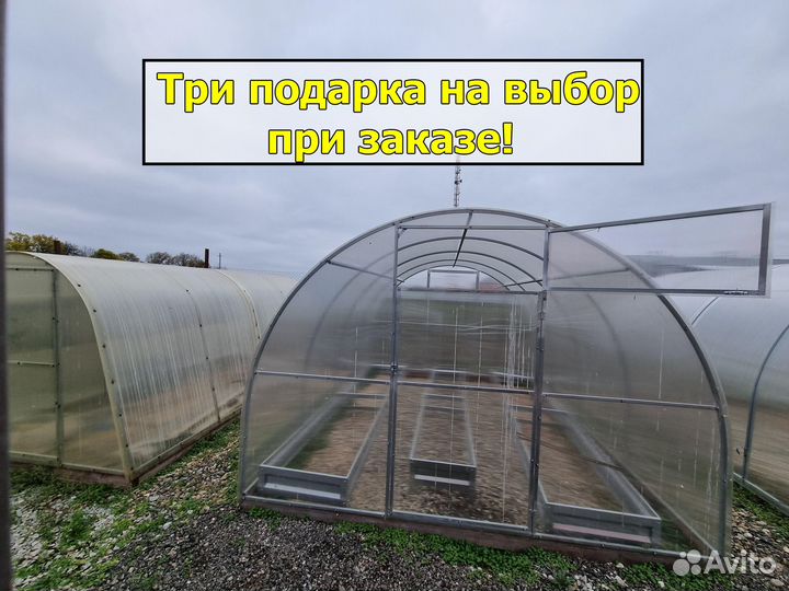 Теплица