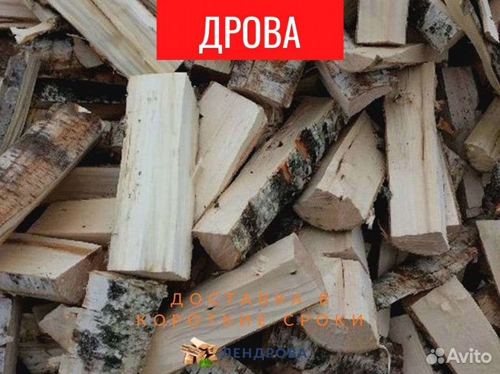 Дрова березовые