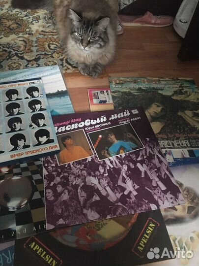 Виниловые пластинки