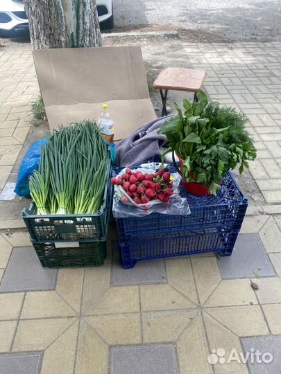Свежая зелень