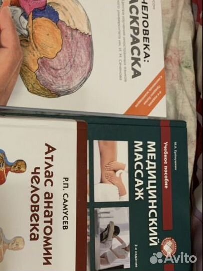 Анатомия человека книжка раскраска, массаж