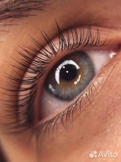 Мастер бровист