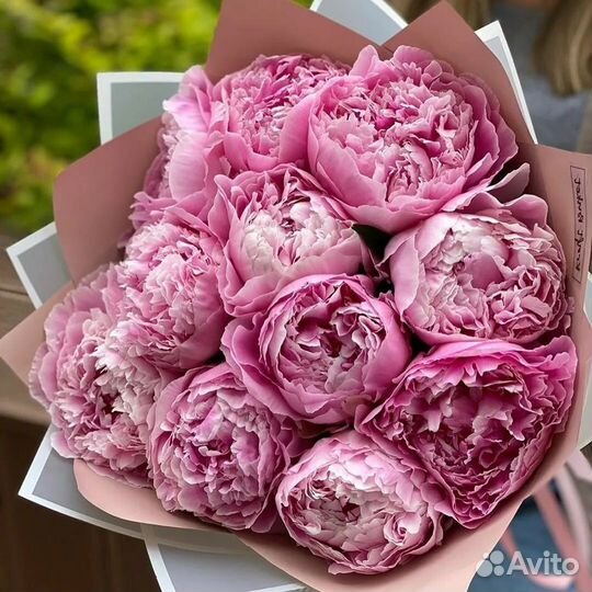 Пионы доставка