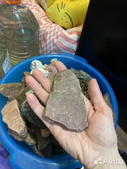 Фильтр tetra компрессор sera оборудование