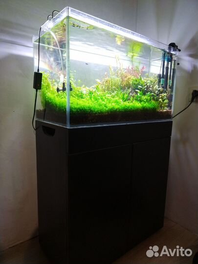 Аквариум