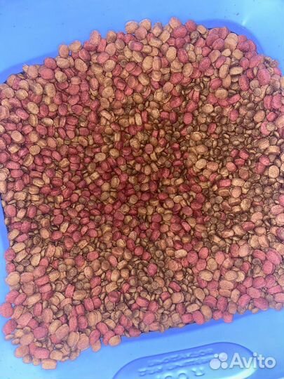 Сухой корм для собак