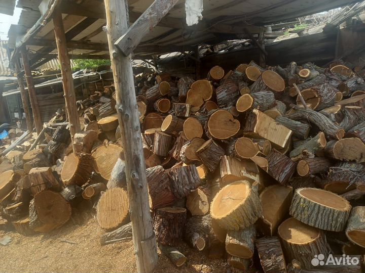 Дрова вяз, финик, тополь, колотые