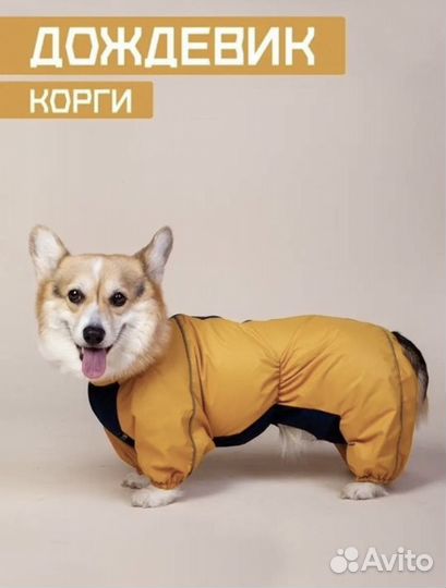 Дождевик (комбинезон) для собак