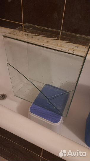 Растения искуств, медуза, щетка